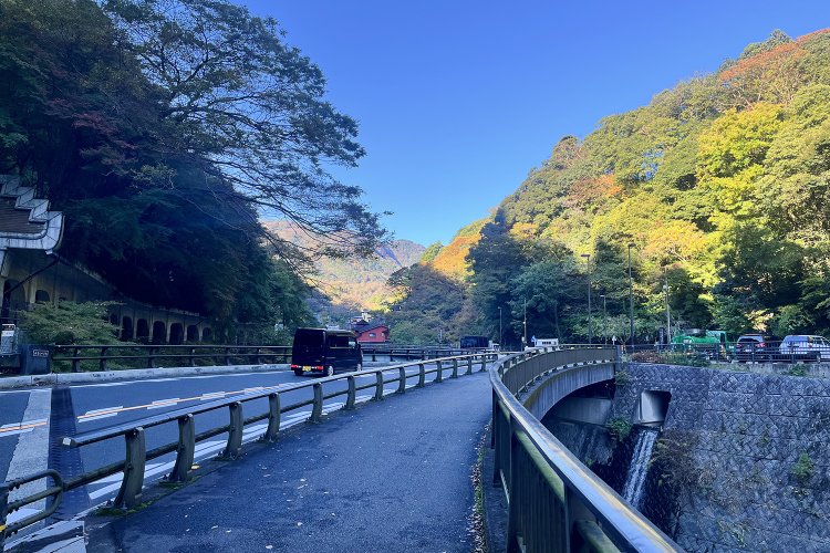 函嶺（かんれい）もみじ橋。左に見えているのは函嶺洞門。