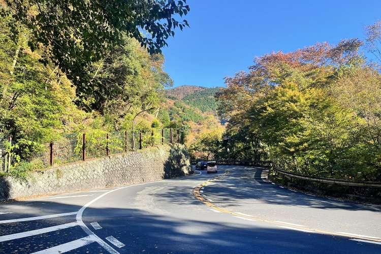 道中に何度も見る景色。