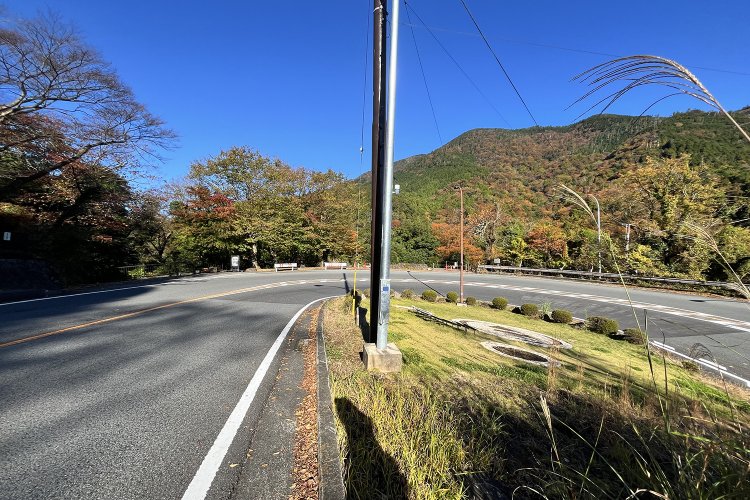 実は開けていて景色もいいところ。