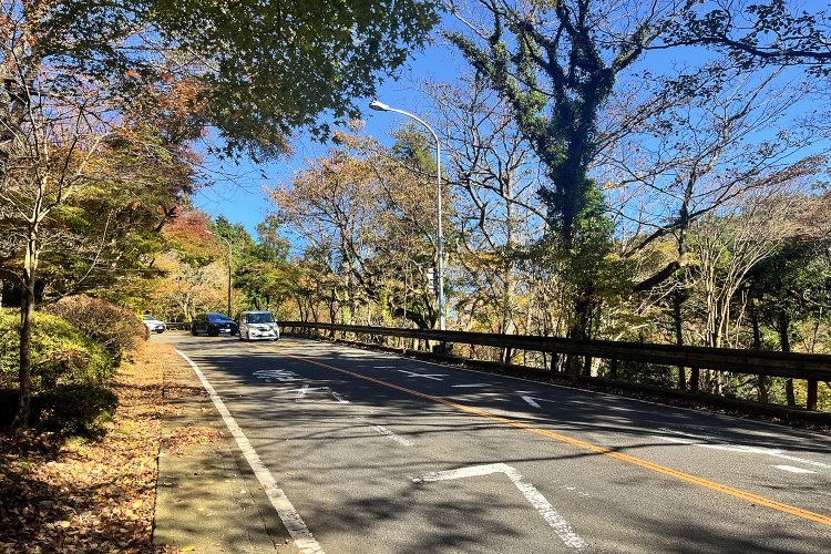 高所を走る道！という感じ、わかるだろうか。