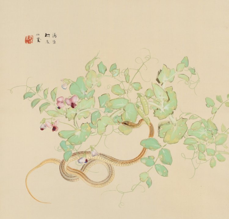 竹内栖鳳《艶陽》1940(昭和15)年 絹本・彩色 『山種美術館』。
