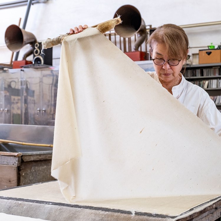 楮や雁皮など原料の育苗も手がける谷野さん。