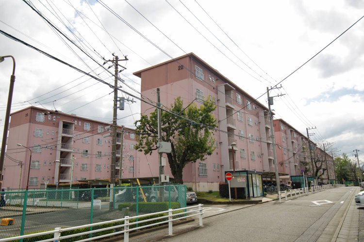 ピンクの住居棟が立ち並ぶ下九沢団地。南側に大型の商業施設も。