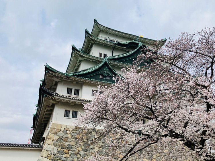 空襲により焼失した名古屋城（愛知県名古屋市）。1959年に外観復元された現在の天守は、コンクリート老朽化のため現在閉鎖されている。