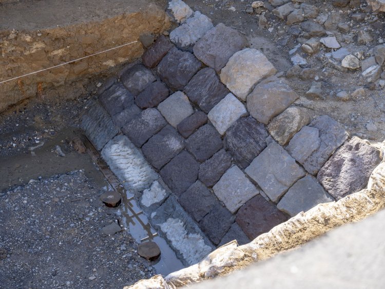 築堤の石垣部分を観察。松の杭も確認できた。