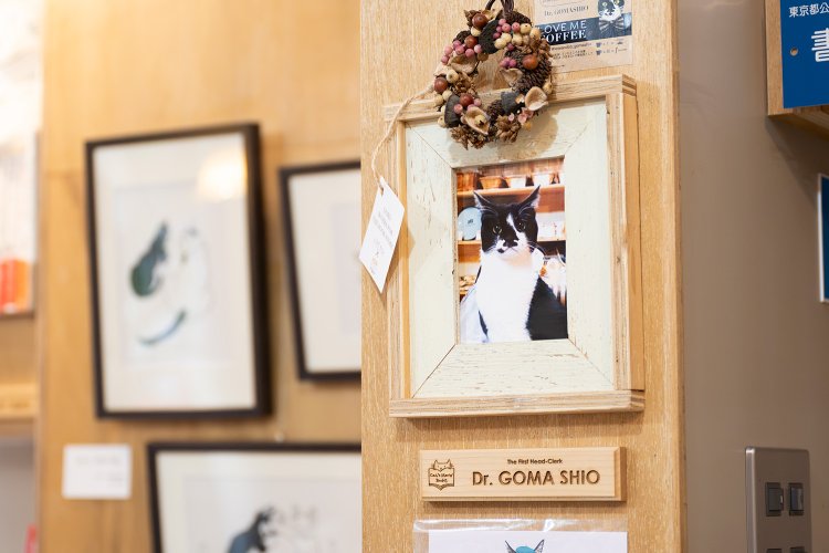 三郎店長をサポートする番頭として迎えるはずだったDr.ごましお。いつもレジの横で働く人間と猫を見守り、訪問者を迎えている。