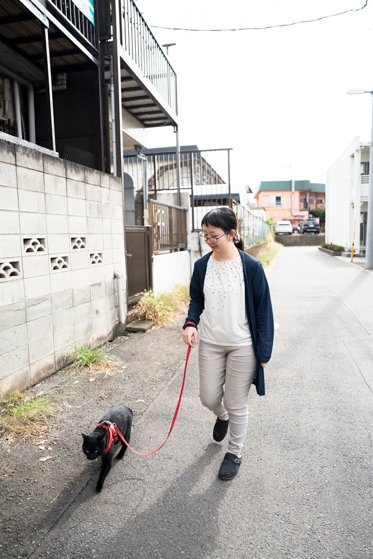 散歩中は赤いハーネスとリードをつける。犬と間違えられることもしばしば。