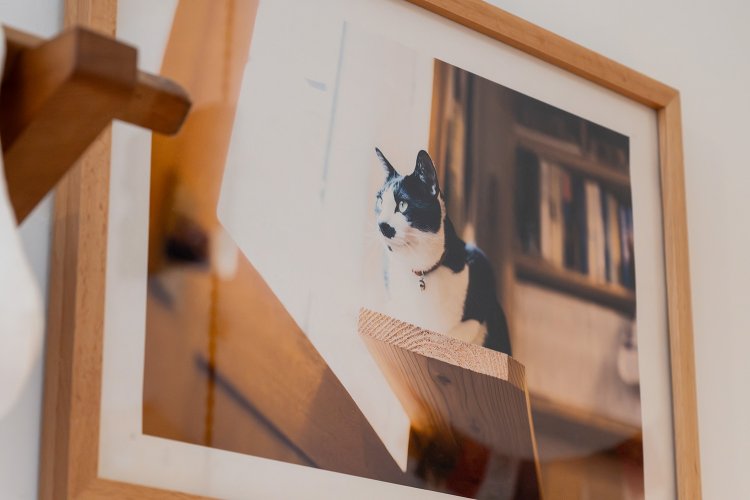 そんな現在の日常を2代目トトが見守っている。