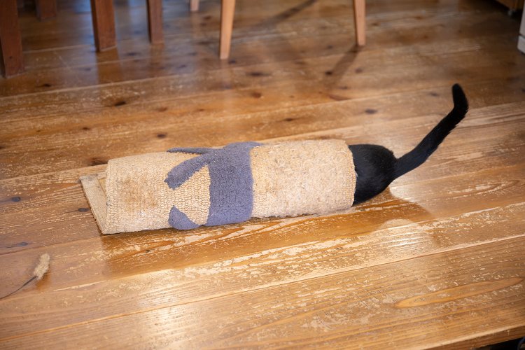猫マットを筒にして延々と遊ぶ育ち盛り。