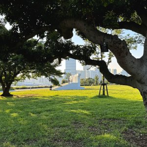 佃～月島～晴海。見える景色が変わり続ける湾岸の埋め立て地へ【「水と歩く」を歩く】