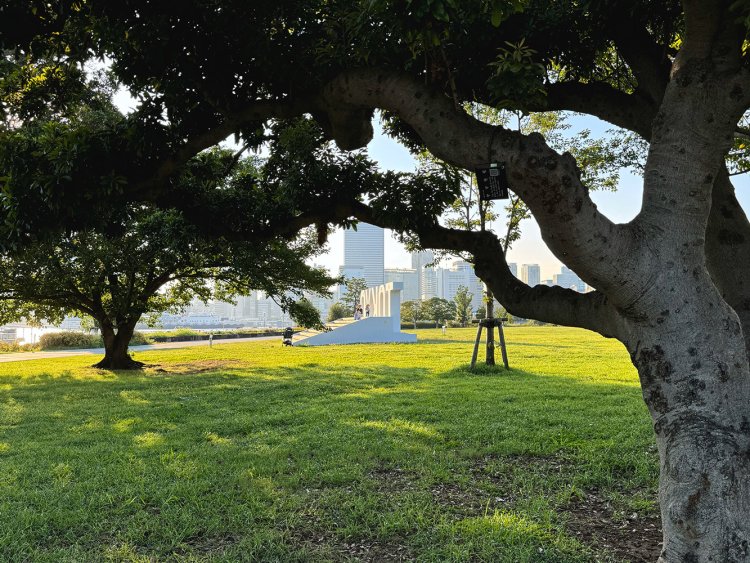 佃～月島～晴海。見える景色が変わり続ける湾岸の埋め立て地へ【「水と歩く」を歩く】