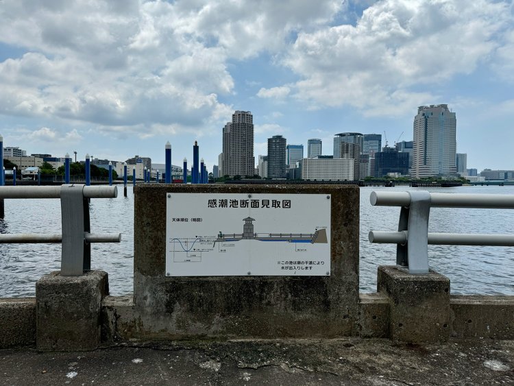 感潮池断面見取図。