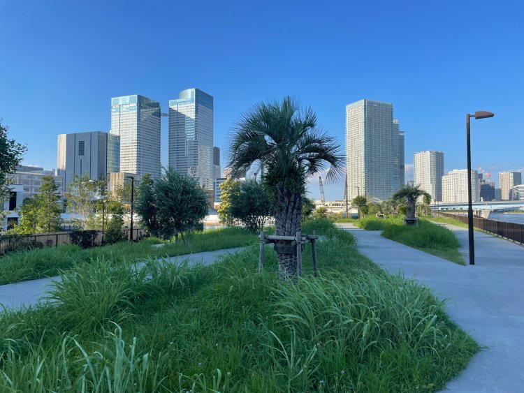 緑道公園の入り口付近からトリトンスクエア方面を見る。