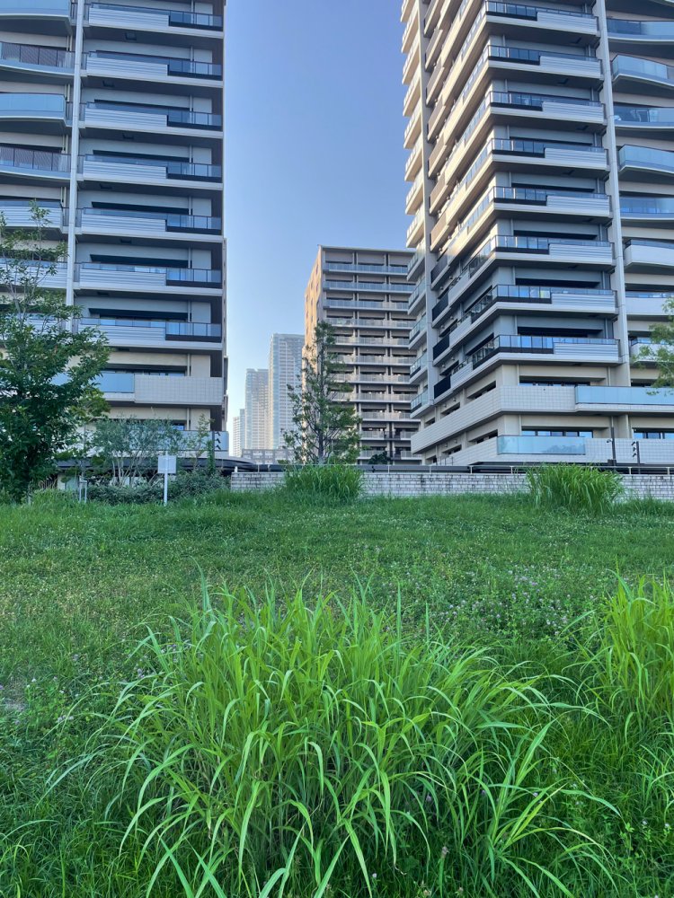 どこまでも続くマンション。