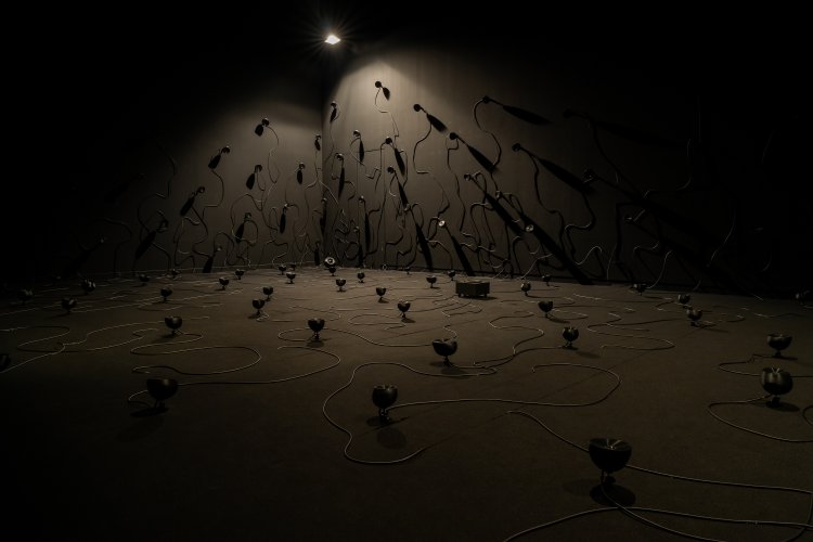 evala《Sprout “fizz”》 2024年 撮影＝冨田了平 写真提供＝NTTインターコミュニケーション・センター [ICC]。