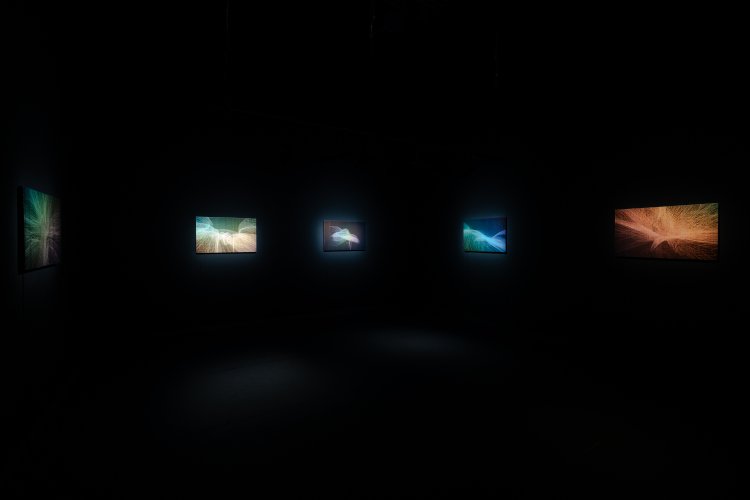 evala《Score of Presence》 2019年 撮影＝冨田了平 写真提供＝NTTインターコミュニケーション・センター [ICC]。