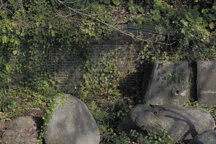 現駅舎の近く、旧ホームのあった場所にはレンガ積みの擁壁が顔をのぞかせていた。