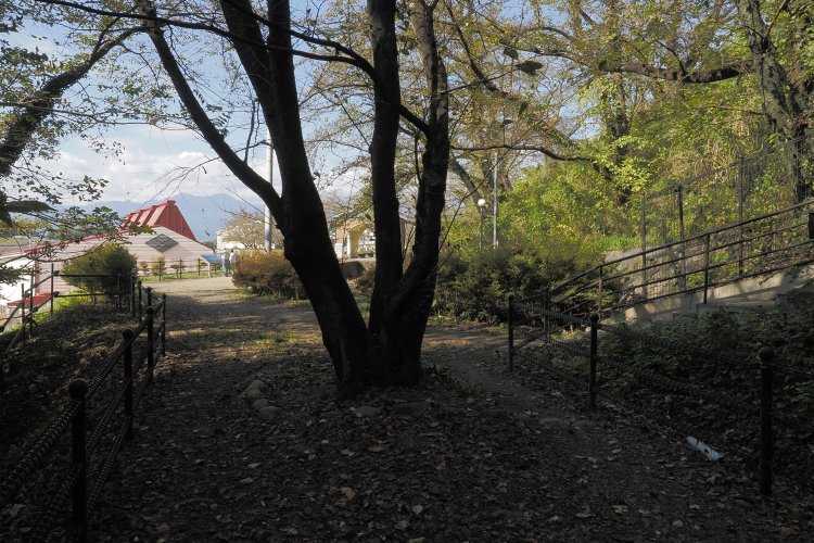 公園の敷地を進むとカーブしてだんだんと幅が細くなっていく。スイッチバック時代は線路が集束して単線になっていたのだろう。