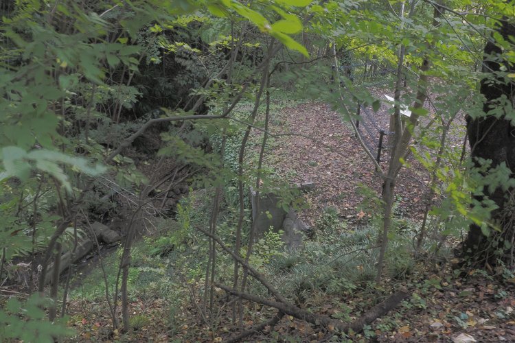 上から終端の橋台部分を見る。単線幅で橋梁が架けられていた。橋台の材質はコンクリートである。