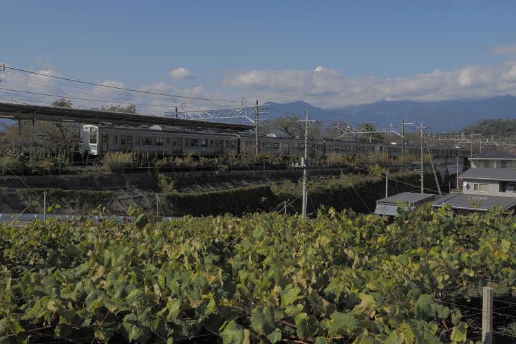 現在の勝沼ぶどう郷駅。1993年に勝沼駅から改称された。駅前はブドウ畑が広がる。