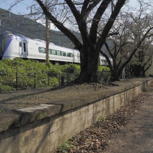 役目を終えたホームは残りトンネルは遊歩道とワインカーヴとなった。【山梨県甲州市の大日影トンネル前編】