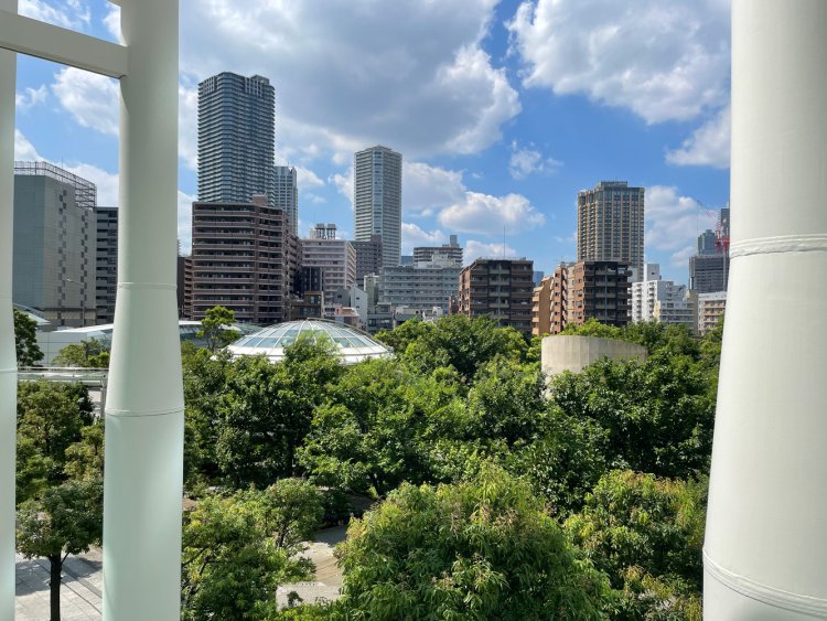 「ここは東京だ。東京がジャングルになっているんだ！！」（藤子・F・不二雄「みどりの守り神」より）。