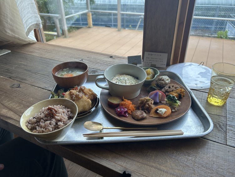 ランチプレート。副菜は共通で、この日のメインは「きのこのお豆腐グラタン」または「チキンカツの特製みそ添え」。＋400円でダブル（どちらも）も可。