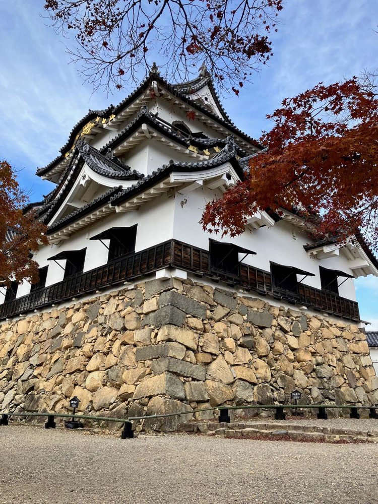 井伊直継により慶長8（1603）年に築城された彦根城（滋賀県彦根市）。こちらも国宝。