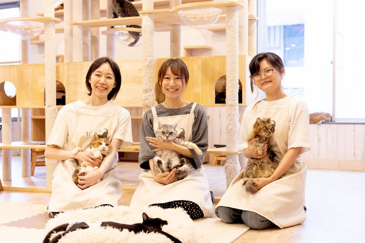 お話を聞いた萩原さん（中央）をはじめ常勤スタッフと猫たち。