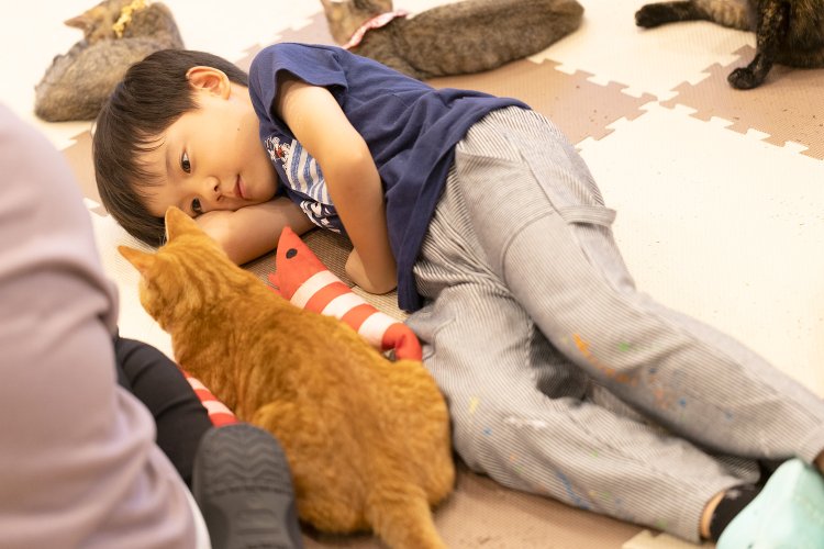 入店年齢の制限は一切なし。未就学児も思いのまま猫と過ごせる。