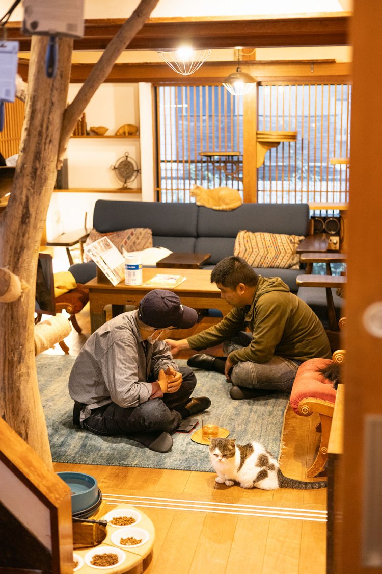 木のしつらえで温かみのある店内。窓の格子戸で換気と脱走対策も◎。