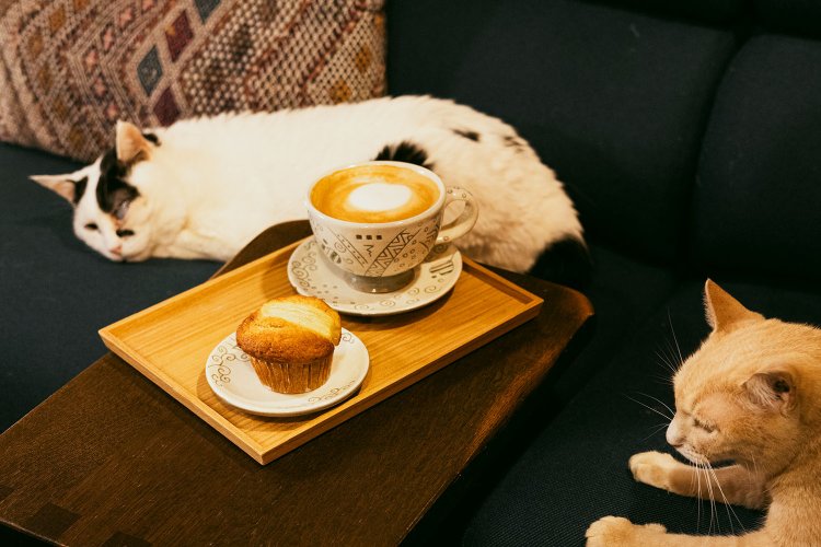 挽きたての豆から淹れるカフェ･ラテ718円、季節で替わる日替わりマフィン330円にホッとひと息。