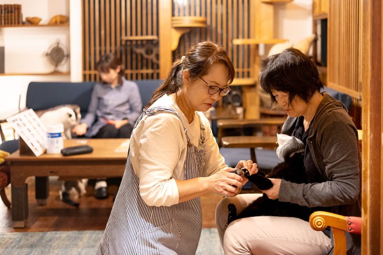 保護猫活動仲間が爪切りの助っ人に来てくれた。