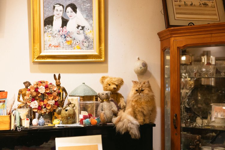 ぬいぐるみと同化するメェメェ。飼い主が病気でこちらにやって来た。