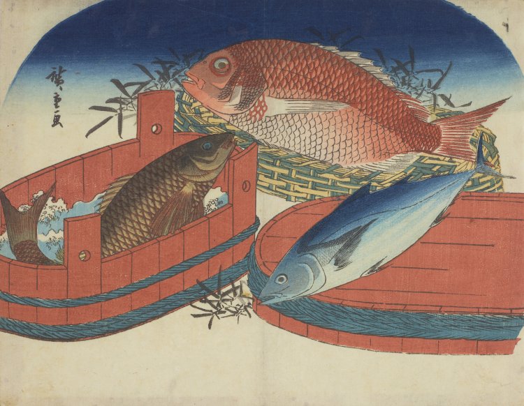 歌川広重「鯛 鯉 鰹」。