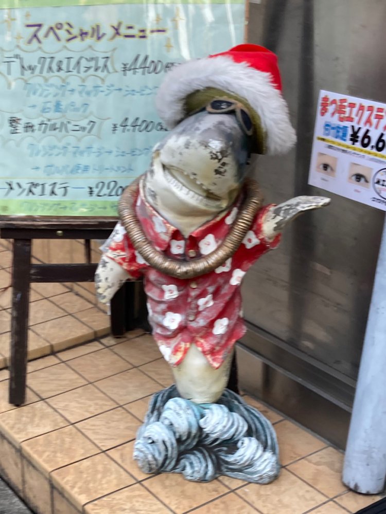 普段は麦わら帽子にアロハシャツの夏らしいサメも、サンタ帽をかぶるだけでサンタ風に（稲田堤）。