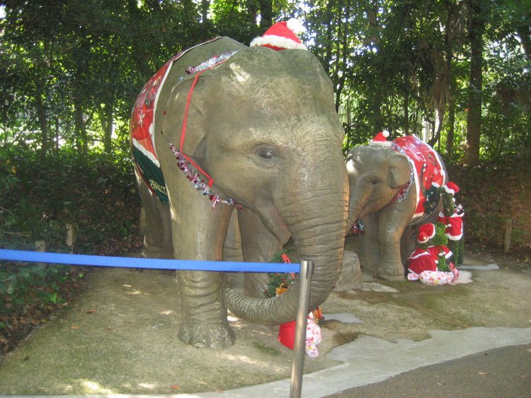 「よこはま動物園ズーラシア」の園内にあるゾウの模型。このゾウにサンタ服を着せようとしたら、なかなか大変だろう。