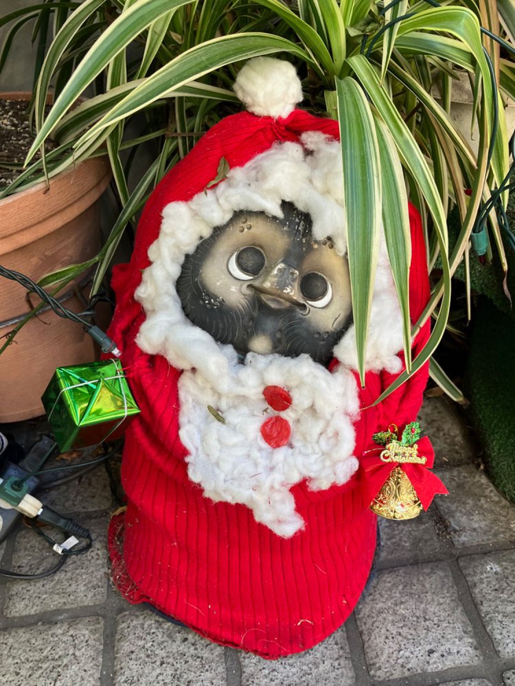 広尾の弁当店店頭のタヌキ。すっぽり全身が包まれてかわいらしい。