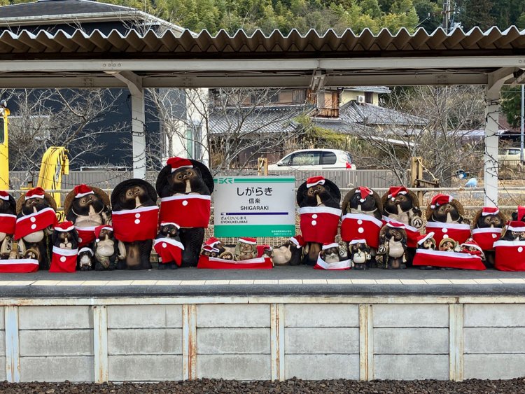信楽駅の対岸ホーム。全てのタヌキがサンタ衣装に着替えていて壮観。