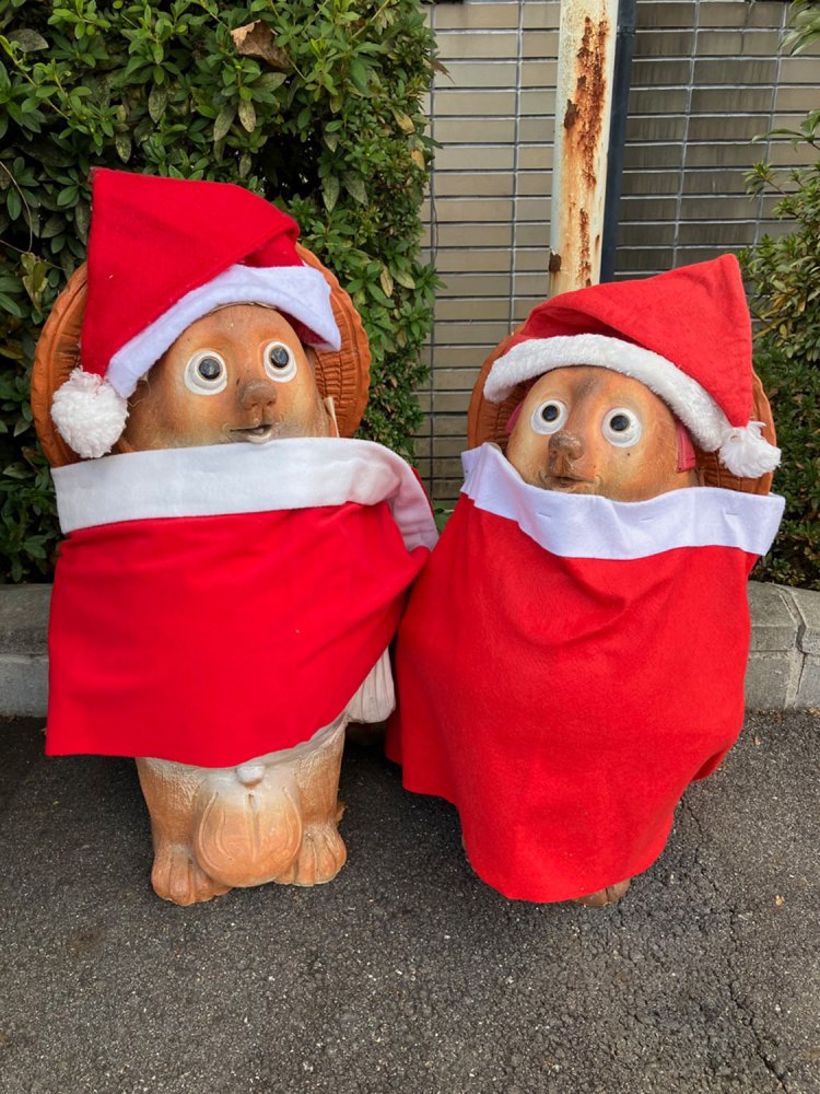 信楽駅の到着ホームにいた、とぼけた顔のタヌキコンビ。揃いのサンタ服でお出迎え。