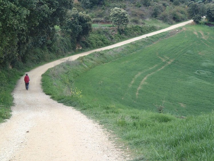 unnamed (2)サンチャゴ