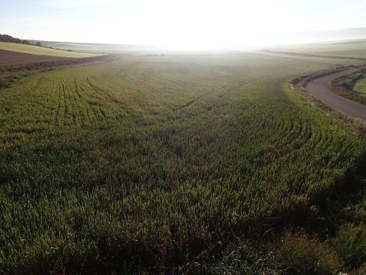 unnamedサンチャゴ