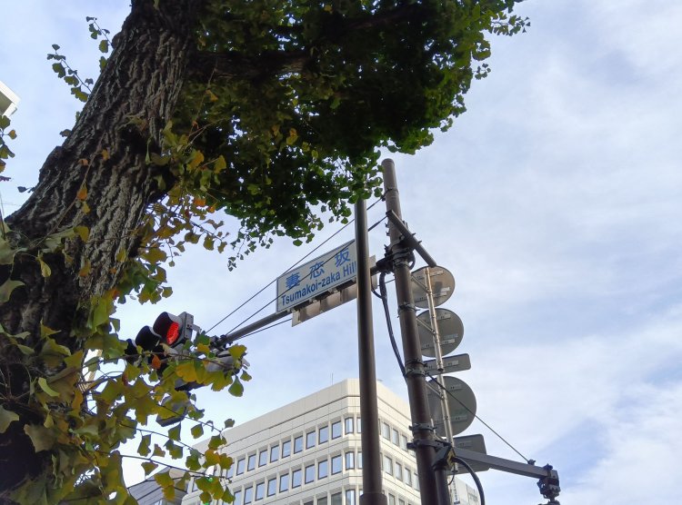 妻恋坂の交差点。坂はこの交差点の1本北側の東西の道にあり、案内板も設置されている。