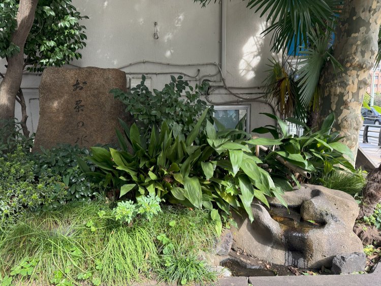 御茶ノ水駅前にある、その名も「お茶の水」。