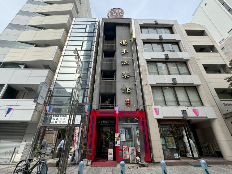 冷やし中華を食べに来ることを誓いつつ『揚子江菜館』の建物を見上げてみたら……上に何かいる！