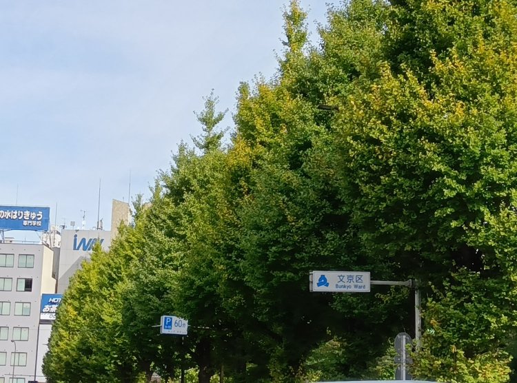 散歩していると文京区との区境にたびたび出くわす。