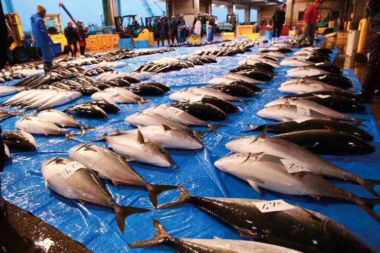 旅の手帖『湯の里いけもり』