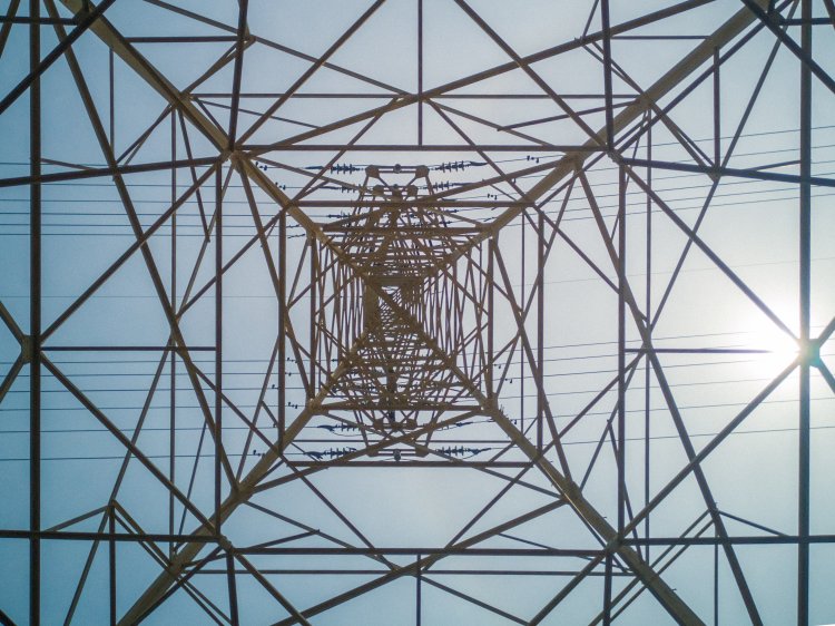 新田辺線。切り絵のようで美しい.