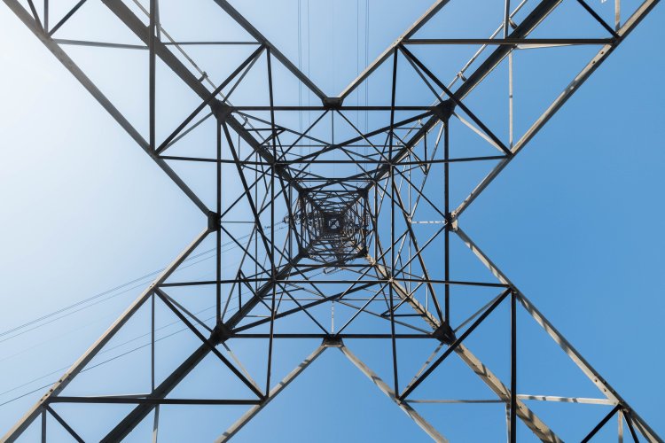 生品線。キリンのように長い4本足が特徴