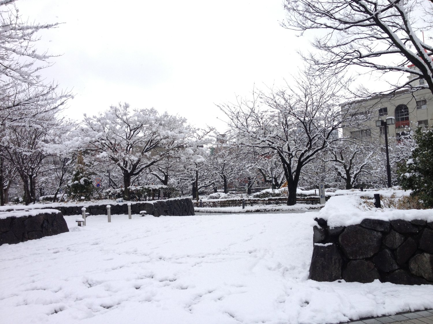 1-8富山雪景色①